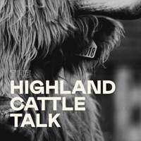 Highland Cattle Talk Logo
